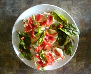 Salad... last year's garden was delicious!