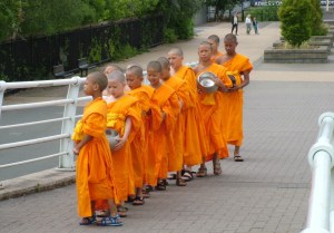 Just wandering around Salford Quays and we saw them...