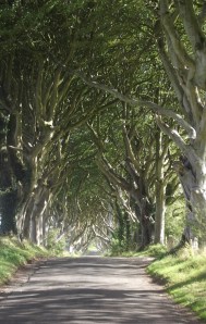 Dark Hedges, the road to Armoy
