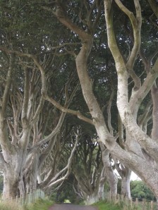 I'm glad it's not dusk...