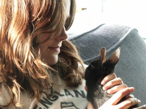 Solo... a dark chocolate bunny with attitude