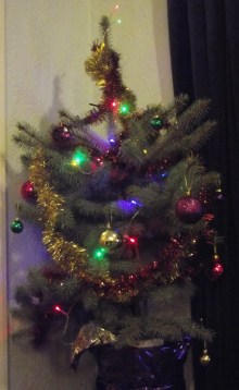 tree 12 c
