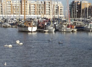 Tra-la-la, lovely day for a paddle!