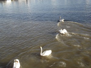 I mean it! Clear off!