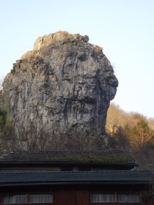 Can you see the lion?