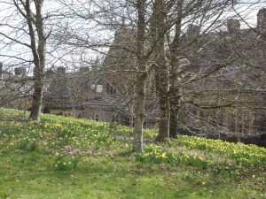 knightshayes 2013 spring (3)