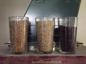 Different sorts of barley give differnt flavours to the beer, nutty or chocolatey, coffee, sweet or bitter... nice to nibble on!