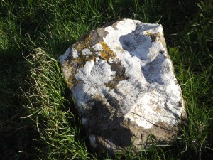 Uphill Feb 16th 2014 (10)