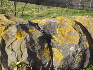 Uphill Feb 16th 2014 (17)