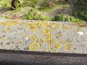 Uphill Feb 16th 2014 (66)