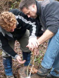 KONICA MINOLTA DIGITAL CAMERA