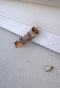 Created with Nokia Smart Cam