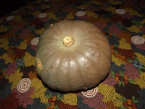 pumpkin (6)