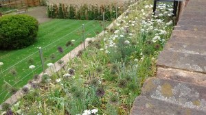 IMG_20150605_102357599