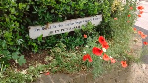 IMG_20150605_103345305