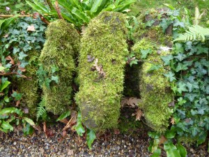 BEDFORDSHIRE OCTOBER 2015 (118)