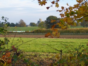 BEDFORDSHIRE OCTOBER 2015 (261)