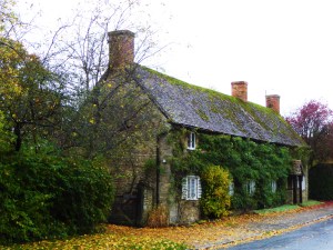 BEDFORDSHIRE OCTOBER 2015 (427)