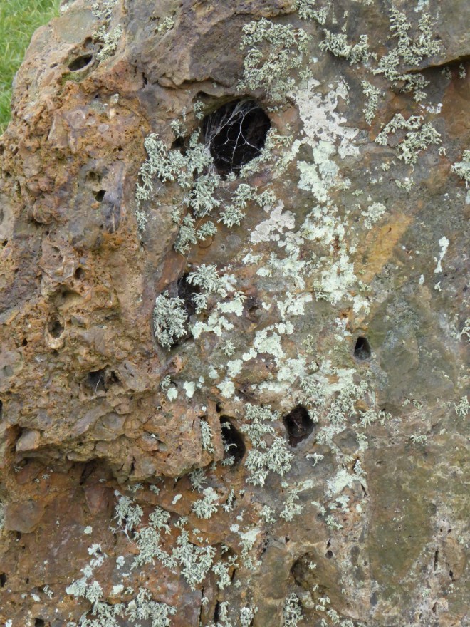 STANTON DREW 10.03 (47)