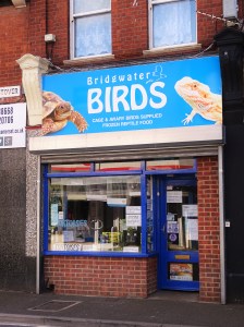 bridgwater-sept-2016-10