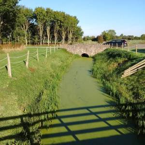 14482174_1819241121622196_7456610709632188416_n