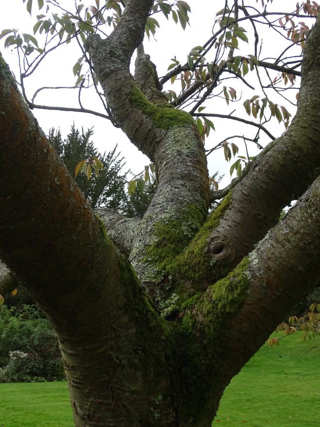 american-museum-27-10-14