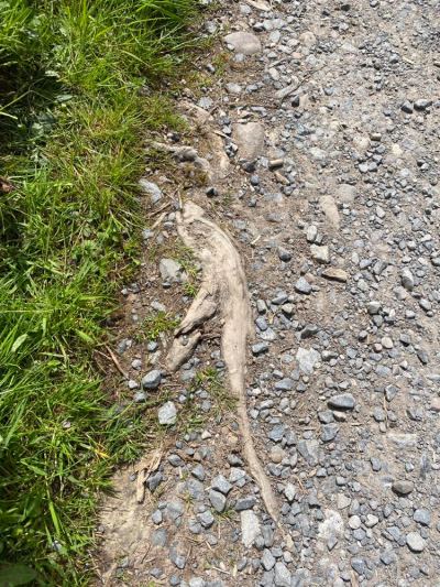 346037119_907234207038711_7344055302033830973_n