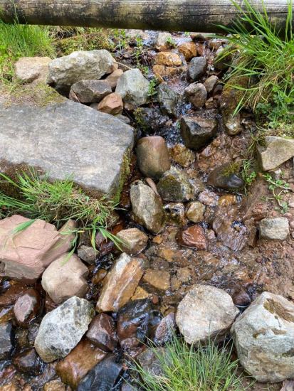 346095054_622190839809461_505600330494977671_n